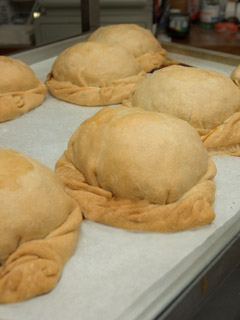 Fresh pasties